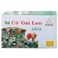 Trà Cà Gai Leo Lava, hỗ trợ giúp bổ gan, hạ men gan, giải độc gan