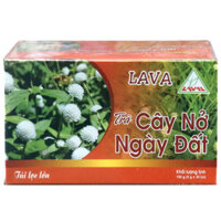 Trà Cây Nở Ngày Đất LAVA, hỗ trợ điều trị bệnh gout
