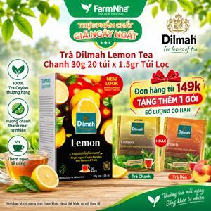 Trà chanh túi lọc Dilmah hộp 30g