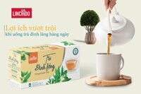 Trà Đinh Lăng Túi Lọc ( Hộp 20 túi )