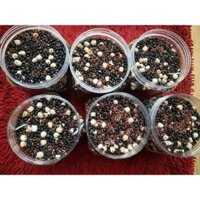 TRÀ GẠO LỨT ĐẬU ĐEN HẠT SEN