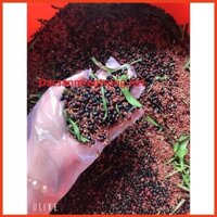 Trà Gạo Lứt Đậu Đen Xanh Lòng