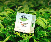 Trà giảm cân Vy Tea