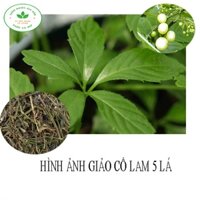 Trà Giảo Cổ Lam 5 Lá Sao Vàng Giúp Giảm Cân Cải Thiện Gan Nhiễm Mỡ 500g