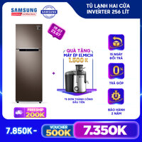 [Trả góp 0%][Tặng Máy Ép Trái Cây Elmich EL-1850] Tủ lạnh hai cửa Samsung 256L với công nghệ Digital Inverter tiết kiệm điện năng - RT25M4032DX - REF [bonus]