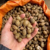 Trà Hạt ươi bay (Hạt ươi bay)  -  gói 500gr