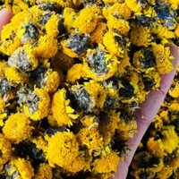 Trà hoa cúc chi, cúc tiến vua Hưng Yên khô, sấy lạnh (Lọ 100g) giúp ngủ ngon, dễ ngủ, an thần, dùng nấu nước sâm