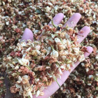 Trà Hoa Nhài ( Hoa bát tiên) Đà Lạt (1kg)