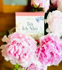Trà Ích Nhũ Earthmama giúp lợi sữa – thải sản dịch
