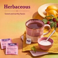 Trà lá mâm xôi hữu cơ (Organic Raspberry Leaf Tea) - Yogi - 16 gói