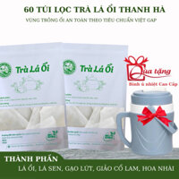 Trà Lá Ổi 5 Vị(60 túi) tặng 1 bình ủ nhiệt 2 lít