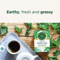 Trà lá Tầm Ma (Traditional Medicinials Organic Nettle Leaf Tea) - 16 gói