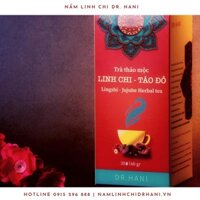 Trà Linh Chi - Táo đỏ (Trà túi lọc)