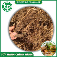 [Trà ngon cao cấp] Rể bồ công anh khô giúp chữa tắt tia sữa - túi lớn loại 500gram