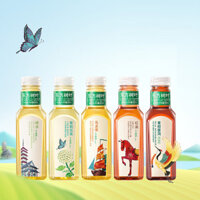 Trà Nongfu Spring Oriental Leaves 500ml 0 Đường 0 Calorie, Trà Ô Long, Trà Hoa Nhài, Trà Xanh, Trà Pu-erh