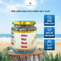 Trà sâm bảo vệ tim mạch giảm mỡ  tăng cường miễn dịch trà sâm sấy khô thành phần Sa Sâm Việt [1 lọ 25g ]