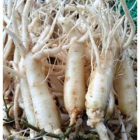 Trà Sâm Dây Ngọc Linh 1kg nấu nước, thơm, ngọt dịu