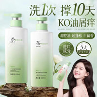 Trà Trắng Mengfei Axit Amino Kiểm Soát Dầu Lông Tơ Chống Gàu Chống Ngứa Nước Hoa Làm Mới Tẩy Mỡ Dầu Gội Lâu Dài 25.3.10