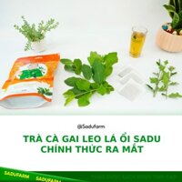 Trà túi lọc cà gai leo lá ổi SADU chính hãng túi 250gr : 50 gói x 5 gram ( quét mã vạch bằng phần mềm icheck )