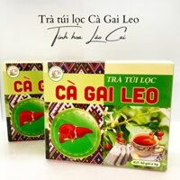 Trà Túi Lọc Cà Gai Leo Lào Cai Hộp 50 gói - Tinh Hoa Lào Cai