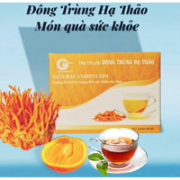 Trà Túi Lọc Đông Trùng Hạ Thảo Nature Cordyceps 2 gr x 20 gói