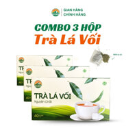 Trà Vối Túi Lọc Phương Đài - Combo 3 Hộp, Hộp 40 gói - Trà Thảo Dược Hữu cơ, Không đường