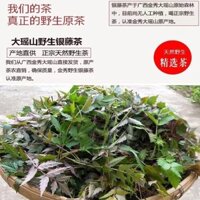 Trà xanh ghế sofa, lá trà cây nho hoang dã QuảTây, trà thảo dược cao cấp, giải nhiệt, đồ uốtức thì sinh thái nguyên bản, y học thảo dược Trung Quốc 9FAF