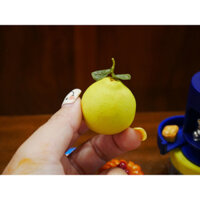 Trái bưởi thu nhỏ bằng đất sét