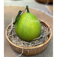 Trái Bưởi Xốp Foam Trang Trí Tết - Phụ kiện Tết độc đáo