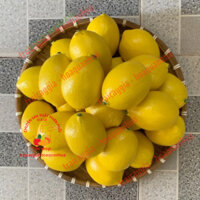 Trái cây giả, 10 trái chanh vàng, trái cây mô hình, quả giả - trang trí nhà cửa