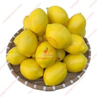 Trái cây giả, 20 trái chanh vàng, trái cây mô hình, quả giả - trang trí nhà cửa