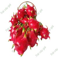 Trái cây giả, 20 trái thanh long trái cây giả trang trí giống thật