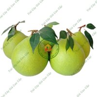 Trái cây giả, 5 trái bưởi đại, trái cây nhựa, decor