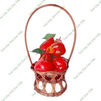 Trái cây giả , 5 trái mận , trái cây nhựa, decor