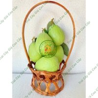 Trái cây giả, 5 trái ổi, trái cây nhựa, decor