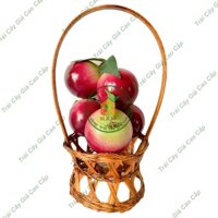 Trái cây giả, 5 trái vú sữa tím, trái cây nhựa, decor