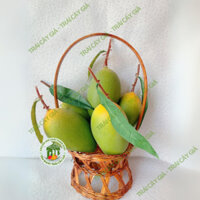 Trái cây giả, 5 trái xoài cát xanh dưa hấu dài trái cây giả trang trí giống thật