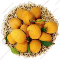 Trái cây giả, trái cây mô hình, 15 trái Samboche, trái hồng xiêm, decor, trang trí nhà cửa