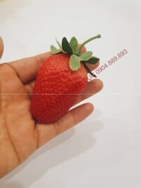 Trái dâu tây nhựa, quả dâu tây giả loại nhựa to dài