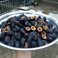 Trám đen nếp