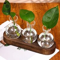 Trạm nhân giống Terrarium HCHC có khay gỗ Ngôi nhà độc đáo