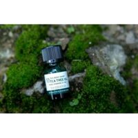 TRÀM TRÀ TEA TREE OIL