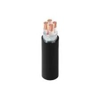 Trần Phú - Cáp ngầm đồng DSTA 4x50