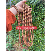 Tràng 108 hạt (size 12ly)