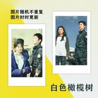 Trắng Cây Ô Liu Photocard Bưu Thiếp Poster Ảnh Hàng Hóa Cùng Phong Cách lomo Thẻ Ảnh Polaroid