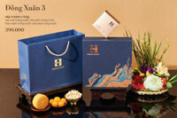 Trang chủ » Bánh Trung Thu » Bánh Trung Thu Madame Hương Hộp Đồng Xuân Phố 3