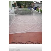 Tráng Nuôi Ốc Nhồi, Ếch, cá, lươn,.. đủ sai