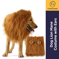 Trang phục chó Lion Mane có tai, Trang phục tóc giả hình sư tử Halloween cho chó & mèo cỡ trung bình đến lớn, có thể giặt được thoải mái Váy trang phục chó bờm sư tử lạ mắt có thể giặt được