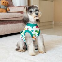 Trang phục phục hồi sau phẫu thuật cho chó trang phục chăm sóc sau phẫu thuật triệt sản trang phục chống liếm cho chó