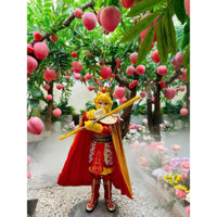 Trang phục Tôn Ngộ Không trẻ em